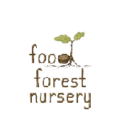 Food Forest Nursery - Turn Your Backyard Into a Food Forest❗️